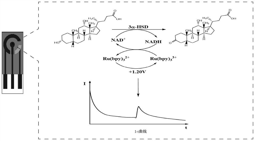 Kit for detecting total bile acid in urine by electrochemical method and application thereof