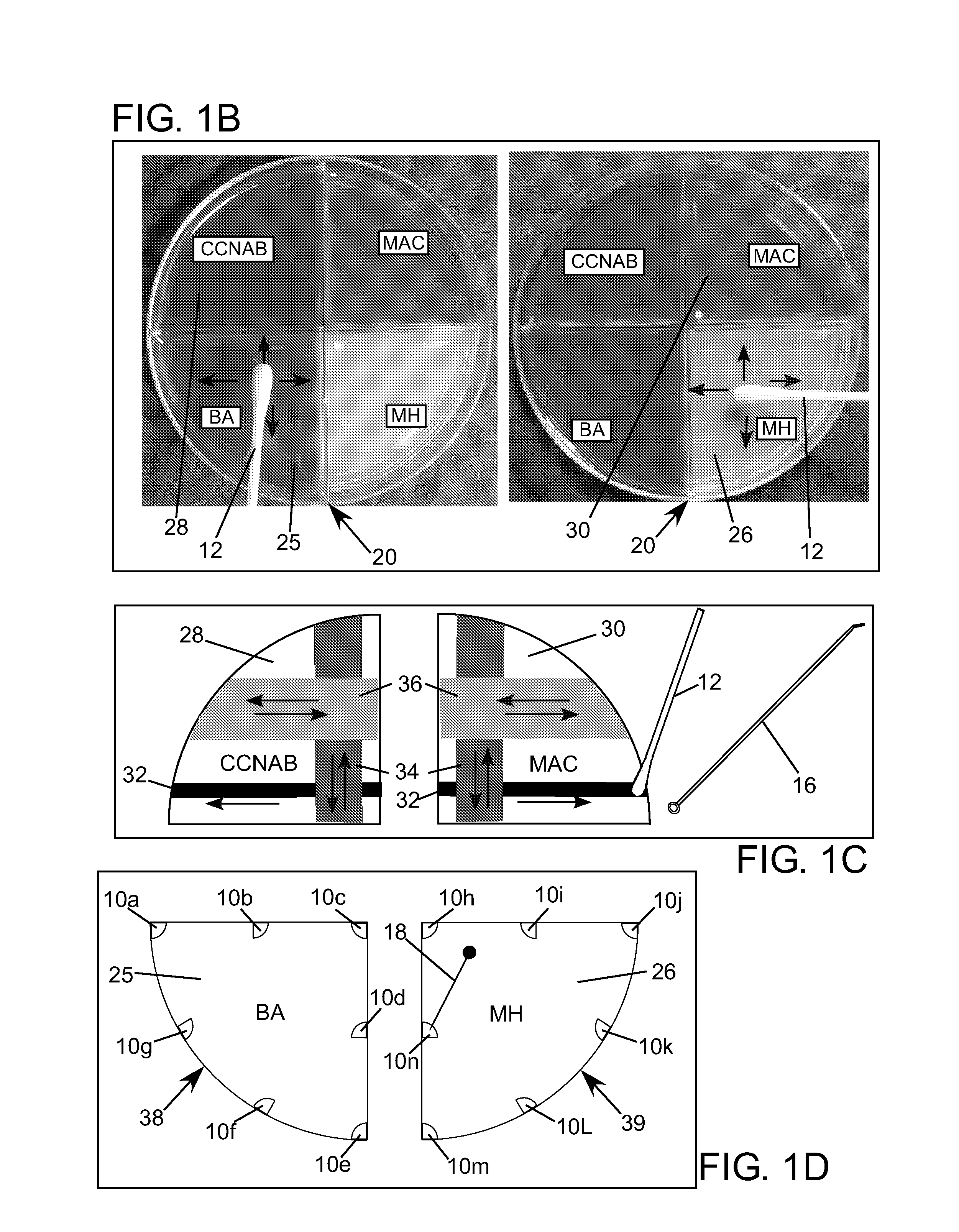 Direct Antimicrobial Susceptibility Assay