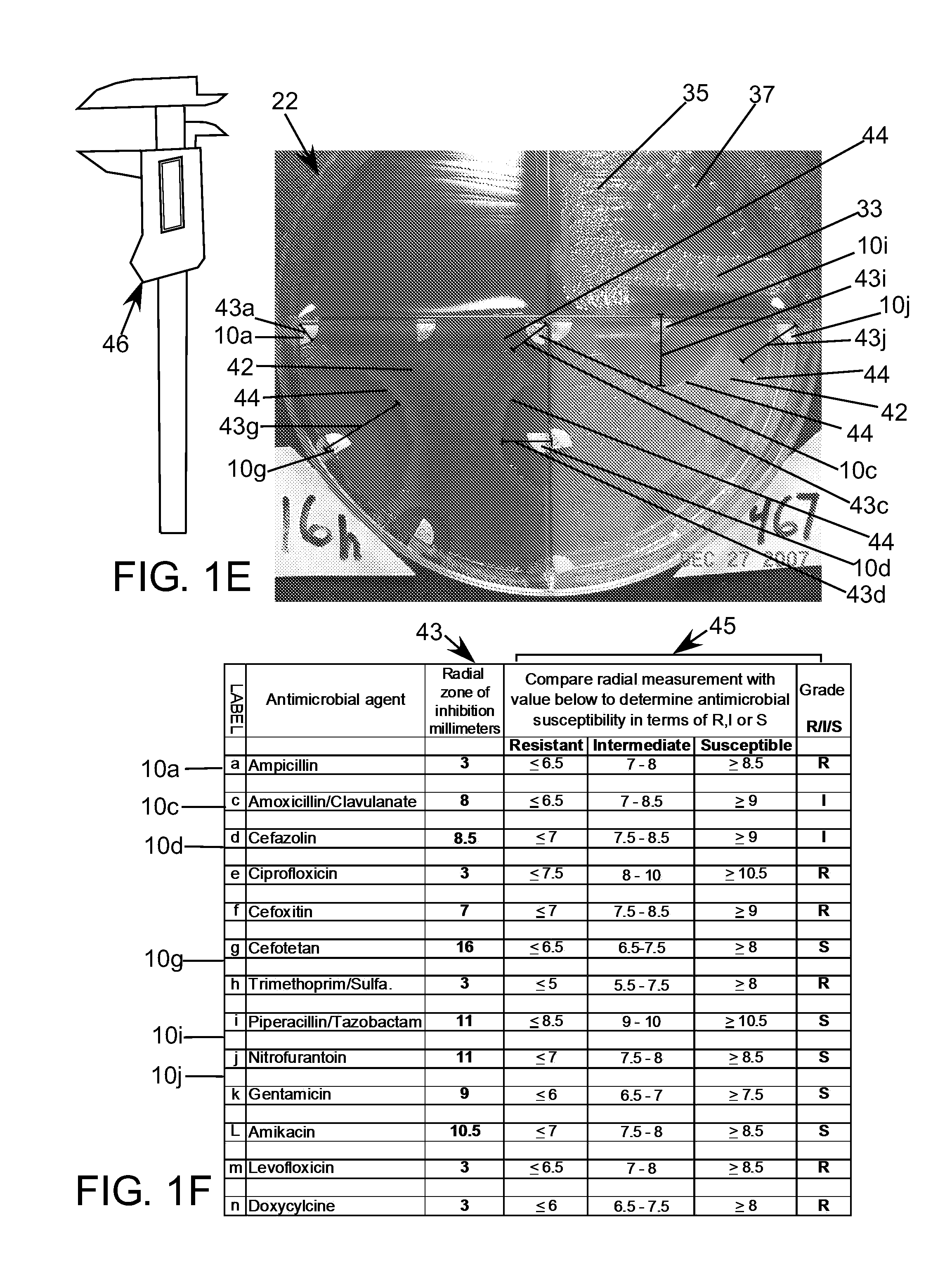 Direct Antimicrobial Susceptibility Assay