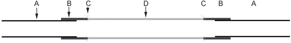 Silk artificial blood vessel and preparation method thereof