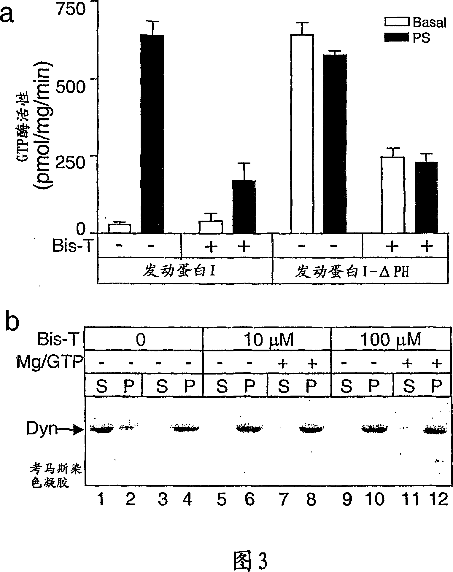 Methods and agents for inhibiting dynamin-dependent endocytosis