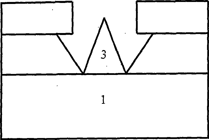 Method for manufacturing aluminum nitride silicon tip and grids structure