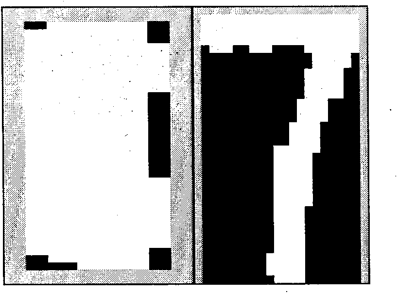 Identification method of characters of licence plate