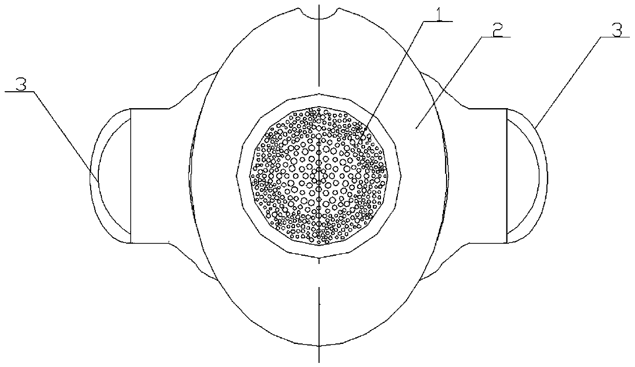 A bionic anti-haze mask based on the surface microstructure of four-leaf clover