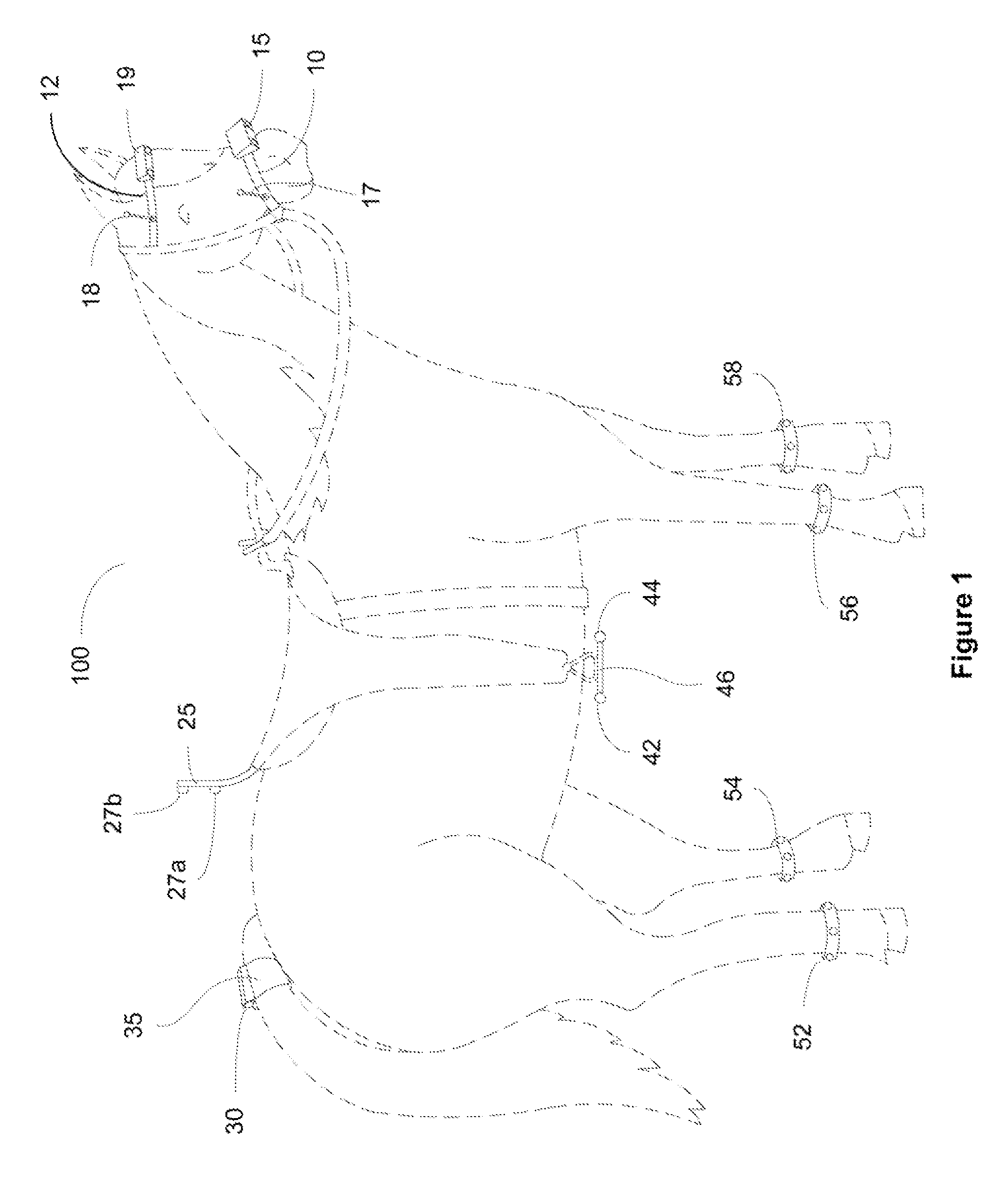 Equestrian Light Apparatus