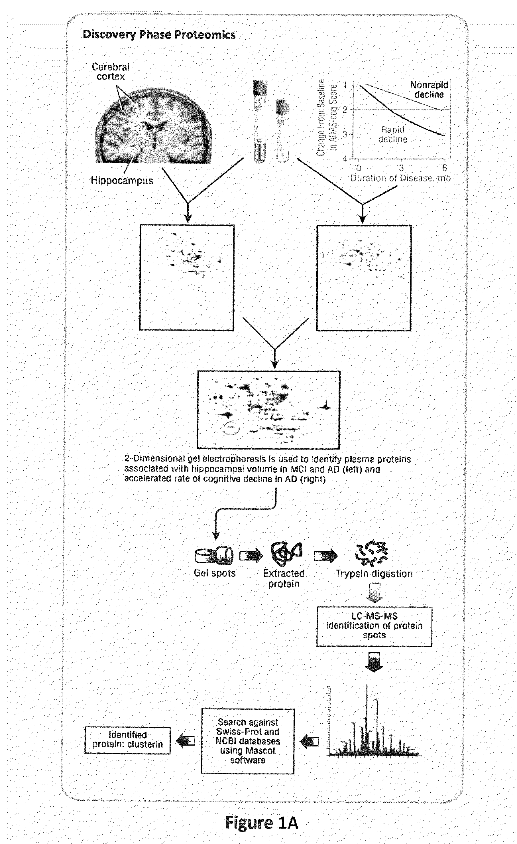 Markers and methods relating to the assessment of alzheimer's disease