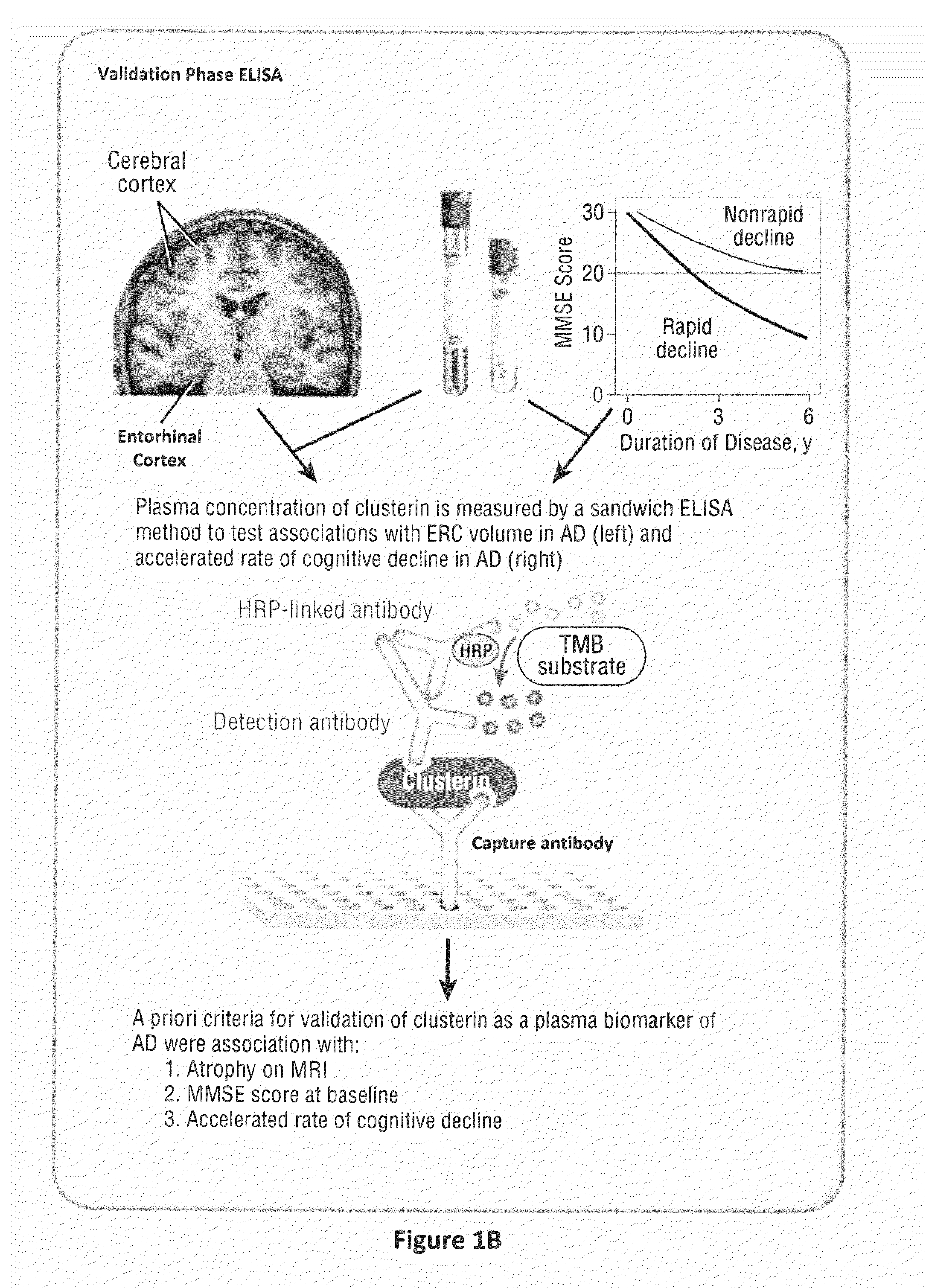 Markers and methods relating to the assessment of alzheimer's disease