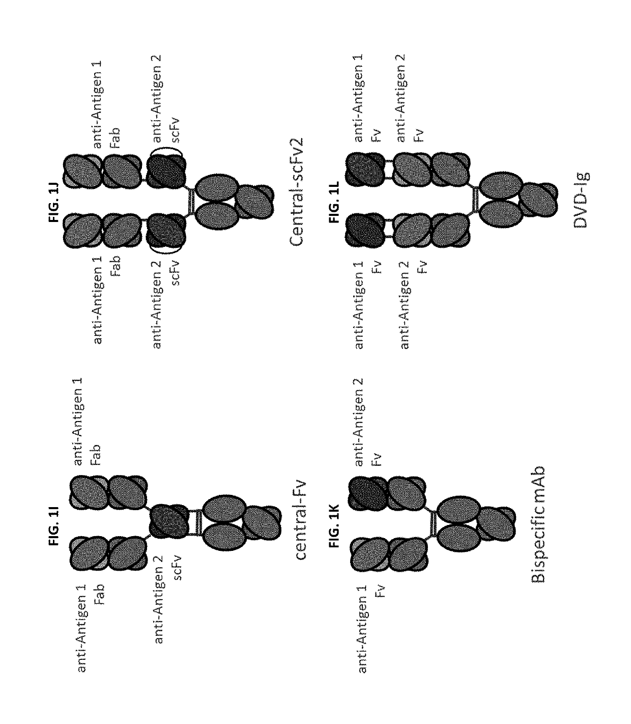 Bispecific and monospecific antibodies using novel Anti-pd-1 sequences