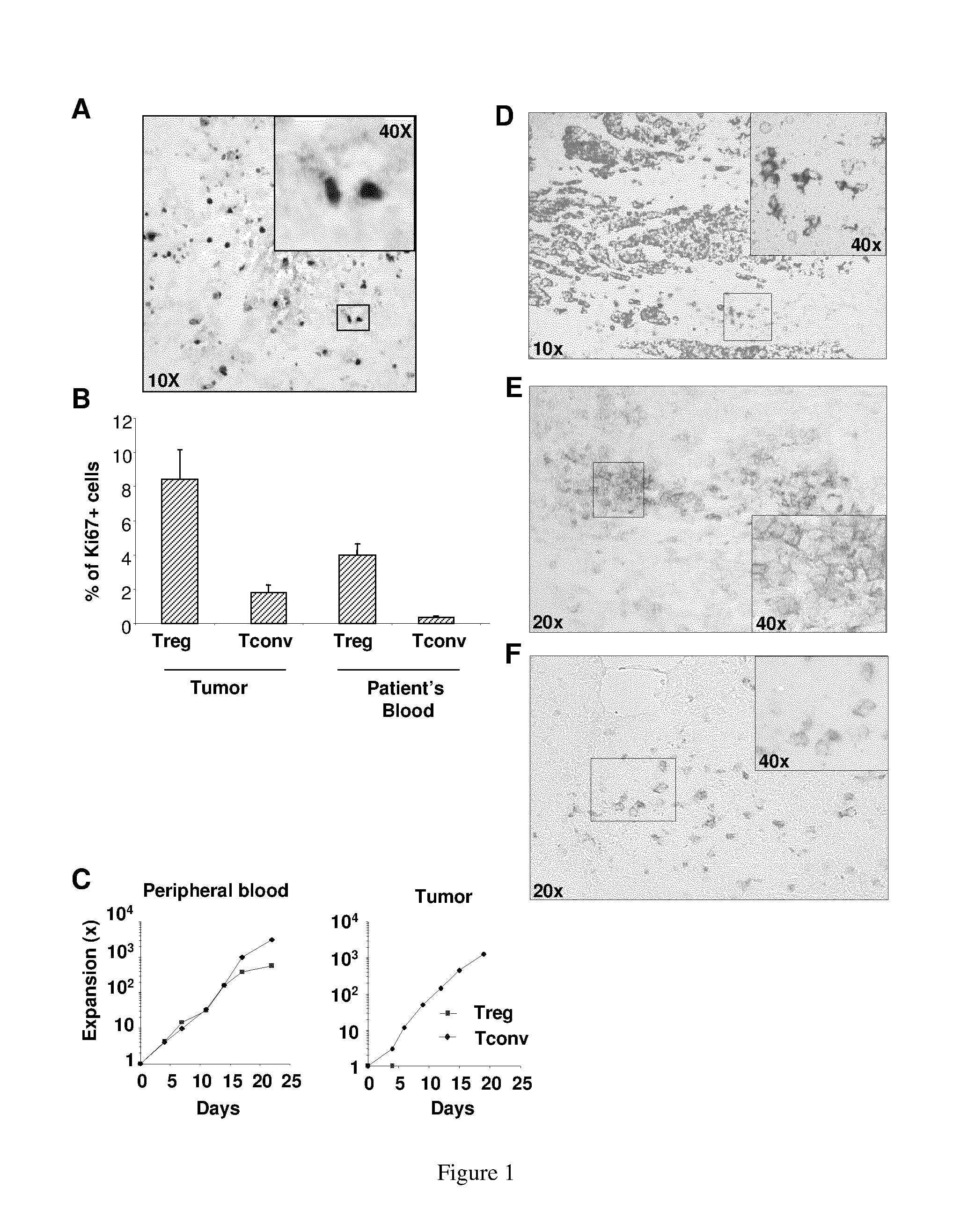 Antibodies Directed Against ICOS and Uses Thereof