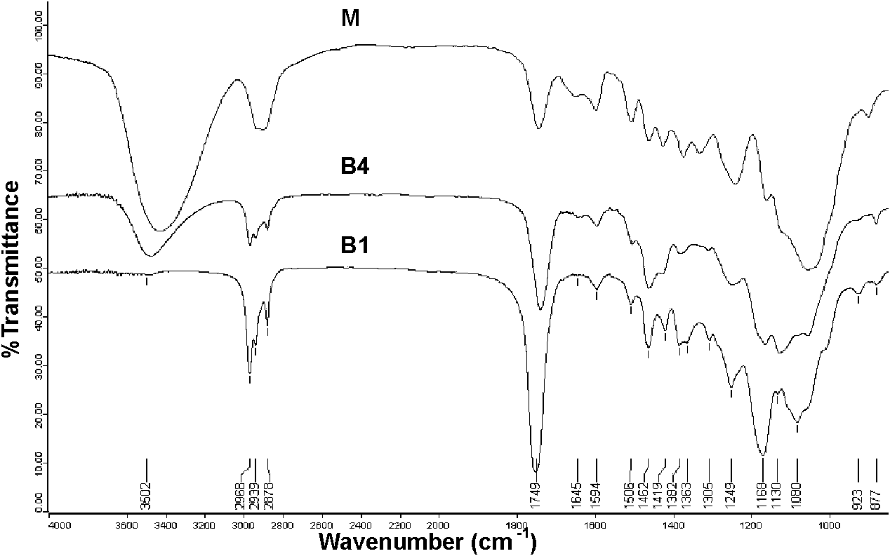 Esterifiable modification method of lignocelluloses and esterifiable modified lignocelluloses