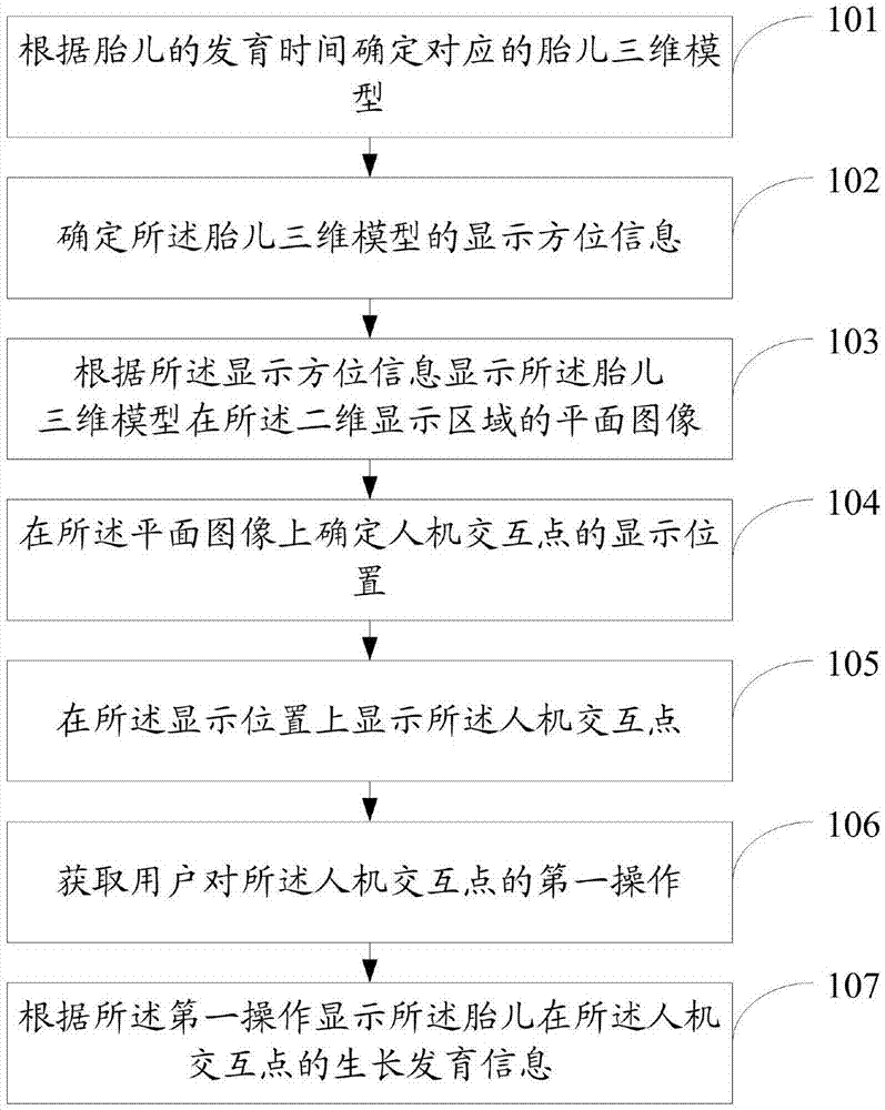 Method and system for fetus three-dimensional virtual reality man-machine interaction