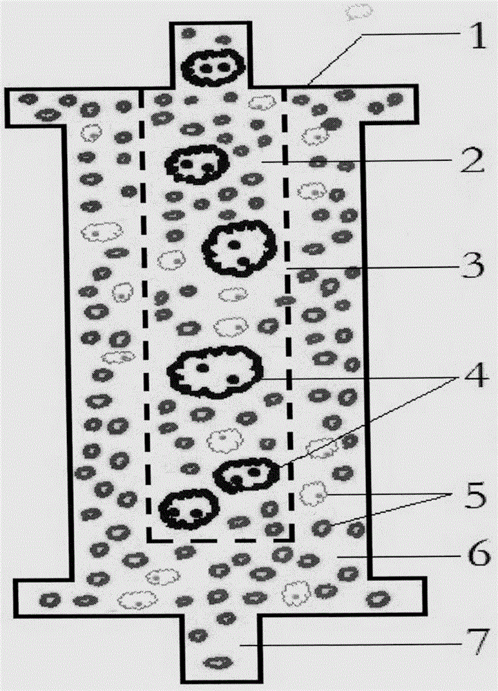 AIDS immune cell therapy apparatus