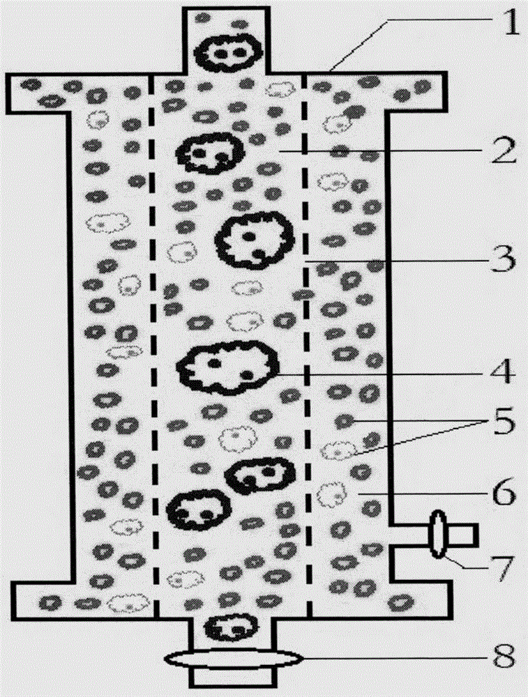 AIDS immune cell therapy apparatus