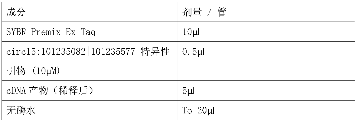 Glioma prognostic marker circ15:101235082|101235577 and its application