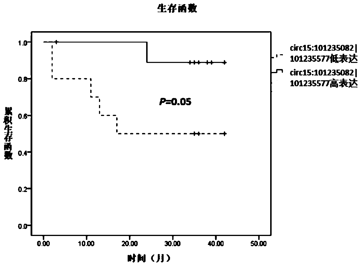 Glioma prognostic marker circ15:101235082|101235577 and its application