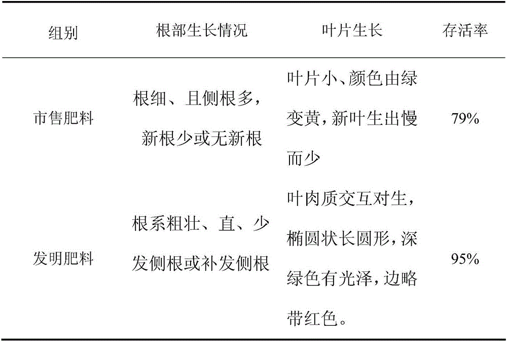 Jonquil planting organic fertilizer and preparation method thereof