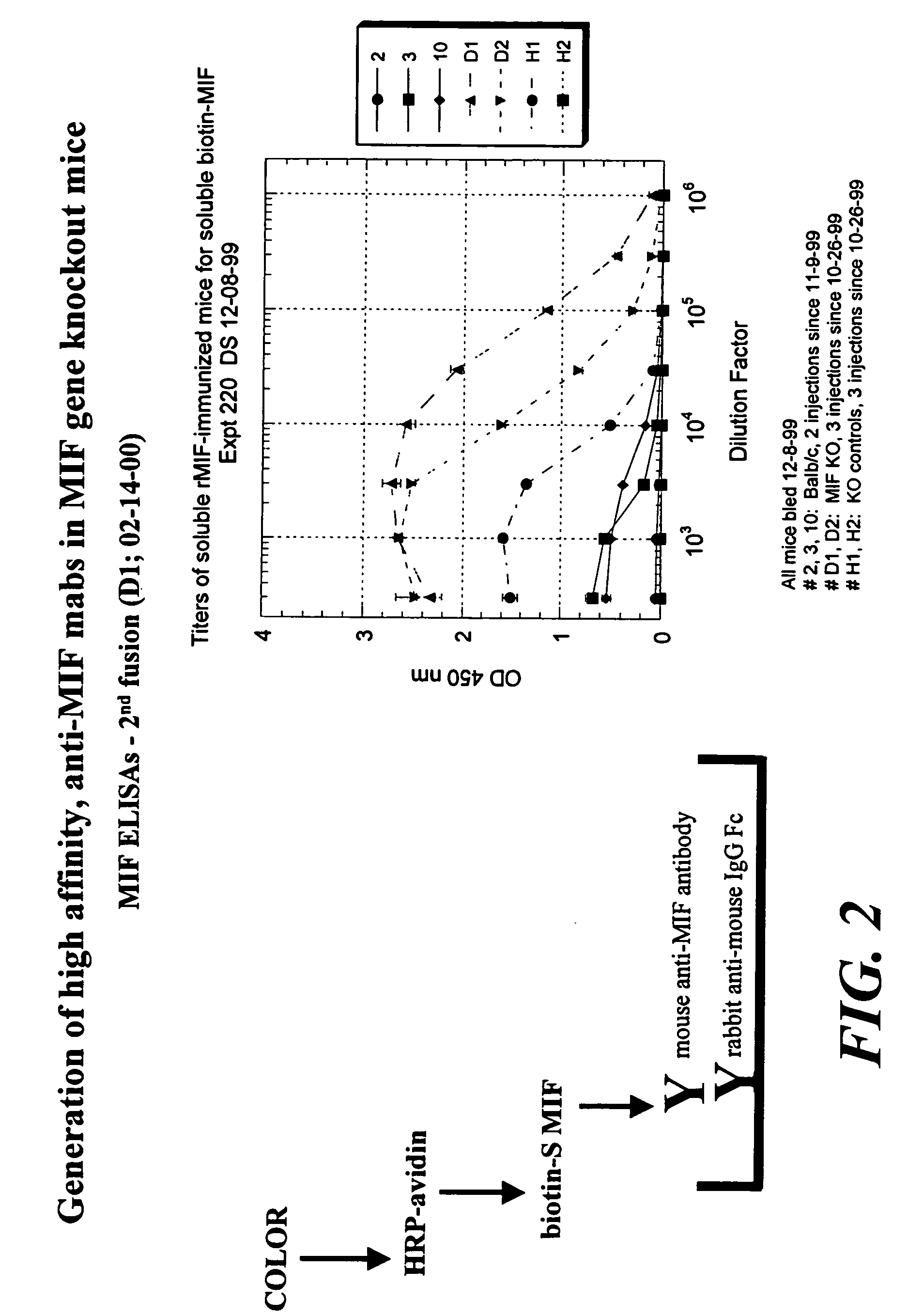 Method for preparing anti-MIF antibodies