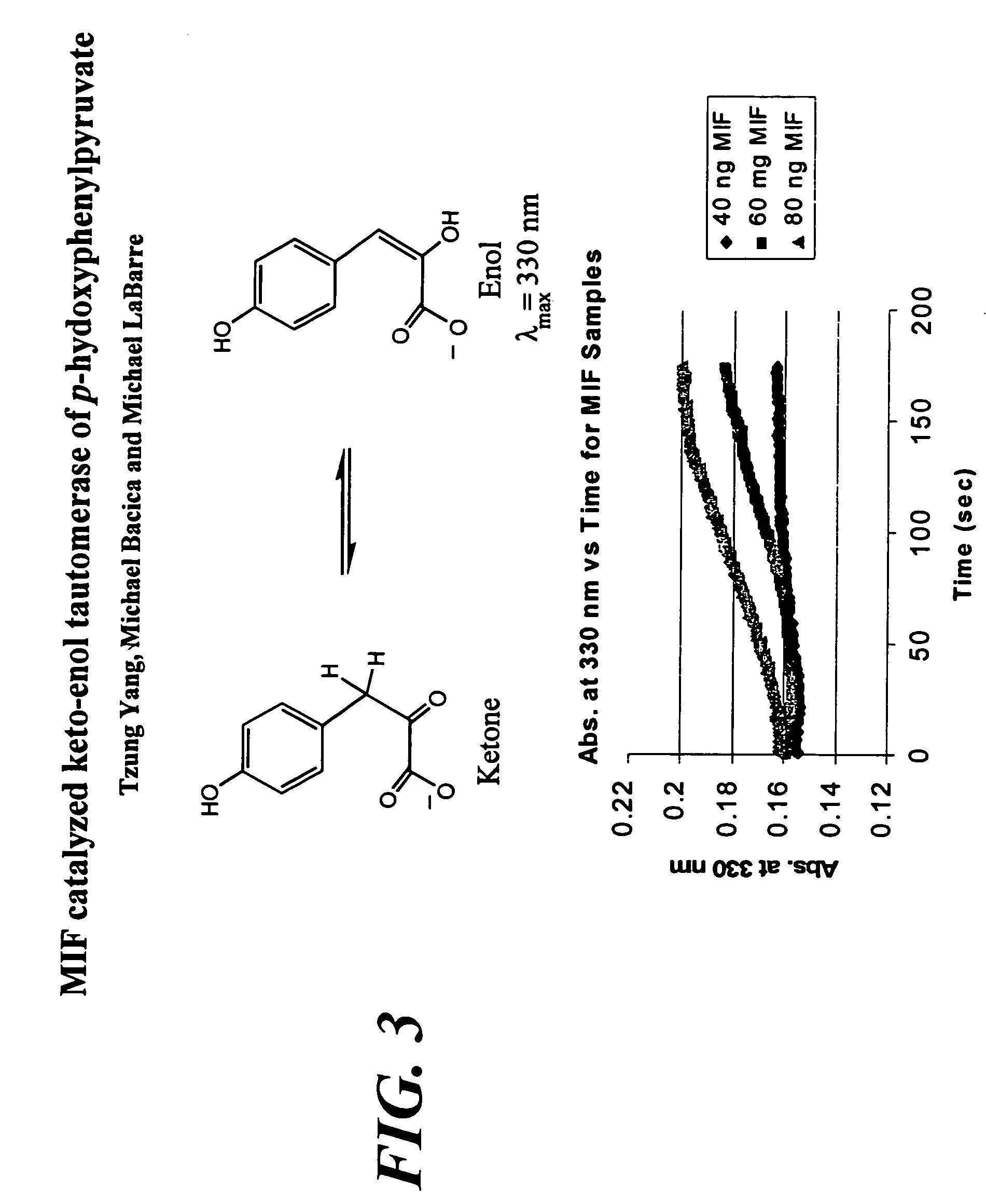 Method for preparing anti-MIF antibodies