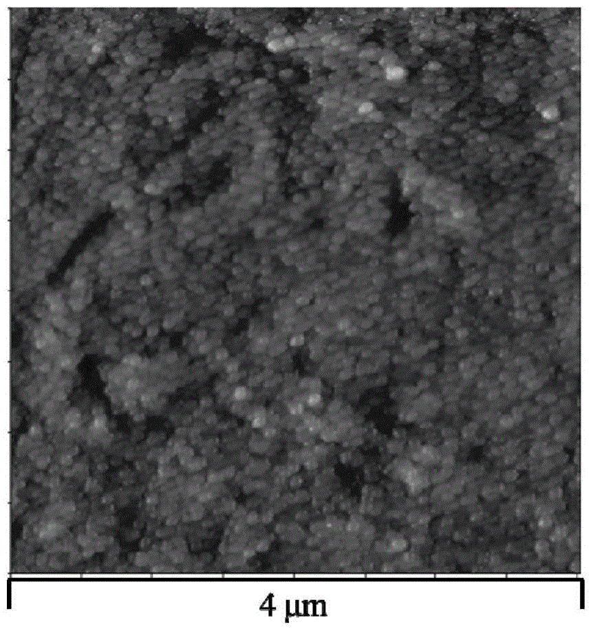 Metal Surface Treatment Method Based on Composite Film of Chitosan and Mussel Adhesin