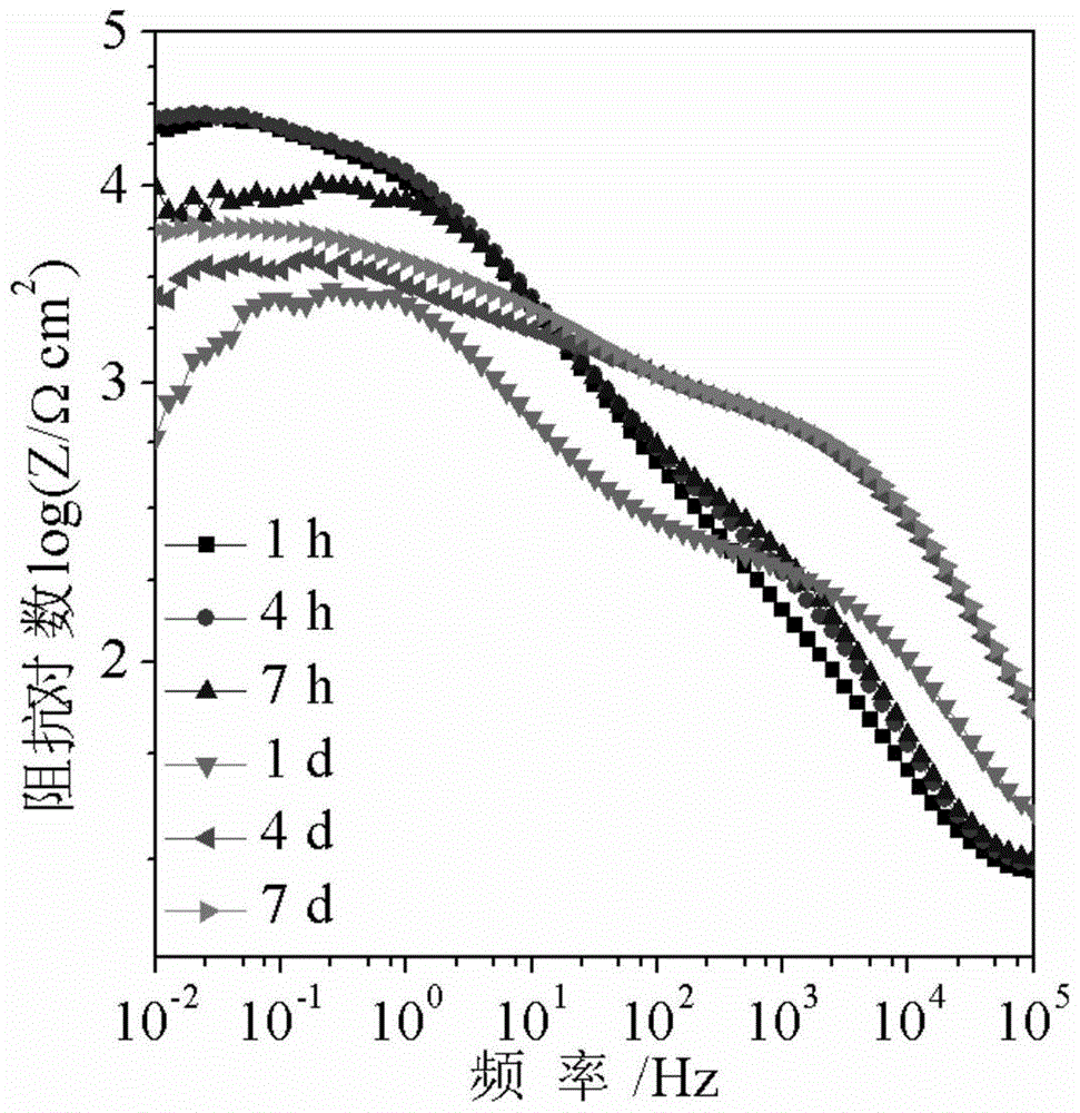 Metal Surface Treatment Method Based on Composite Film of Chitosan and Mussel Adhesin