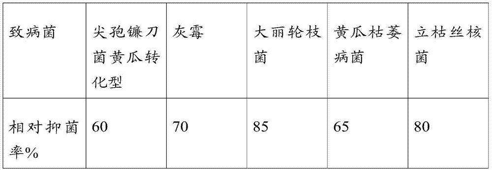 Microbe, application of microbe in bio-fertilizer preparation, bio-fertilizer and application of bio-fertilizer