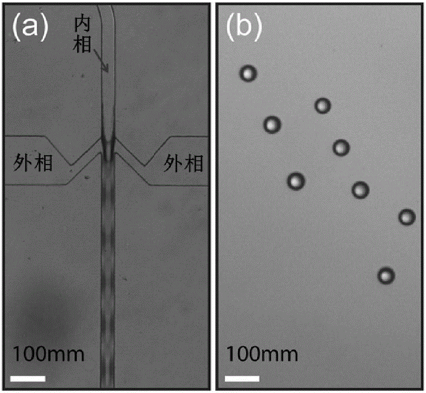 Hydrogel-hydrophobic Janus particle and preparation method thereof