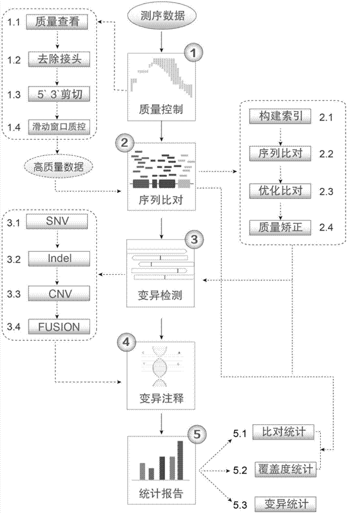 Lung cancer somatic mutation detection and analysis method based on high-throughput sequencing technique