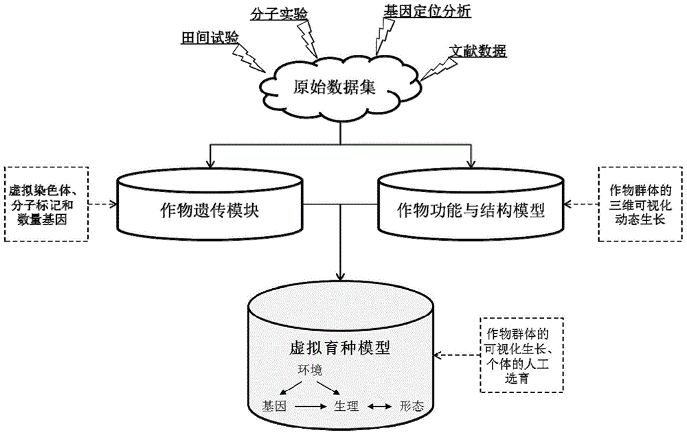 Crop virtual breeding method based on plant function and structure model