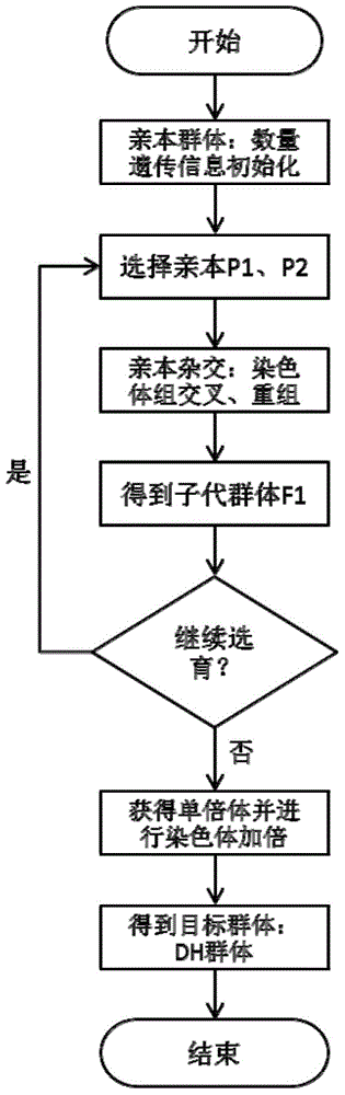 Crop virtual breeding method based on plant function and structure model