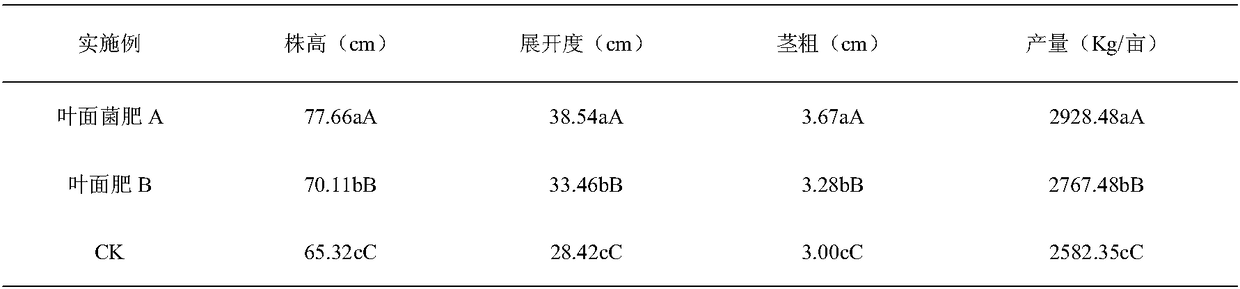 Vegetable foliar bacterial fertilizer as well as preparation method and application thereof