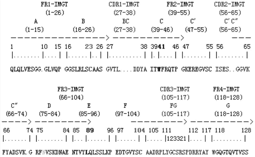 AFP-antigen-based AFP nanobody A18