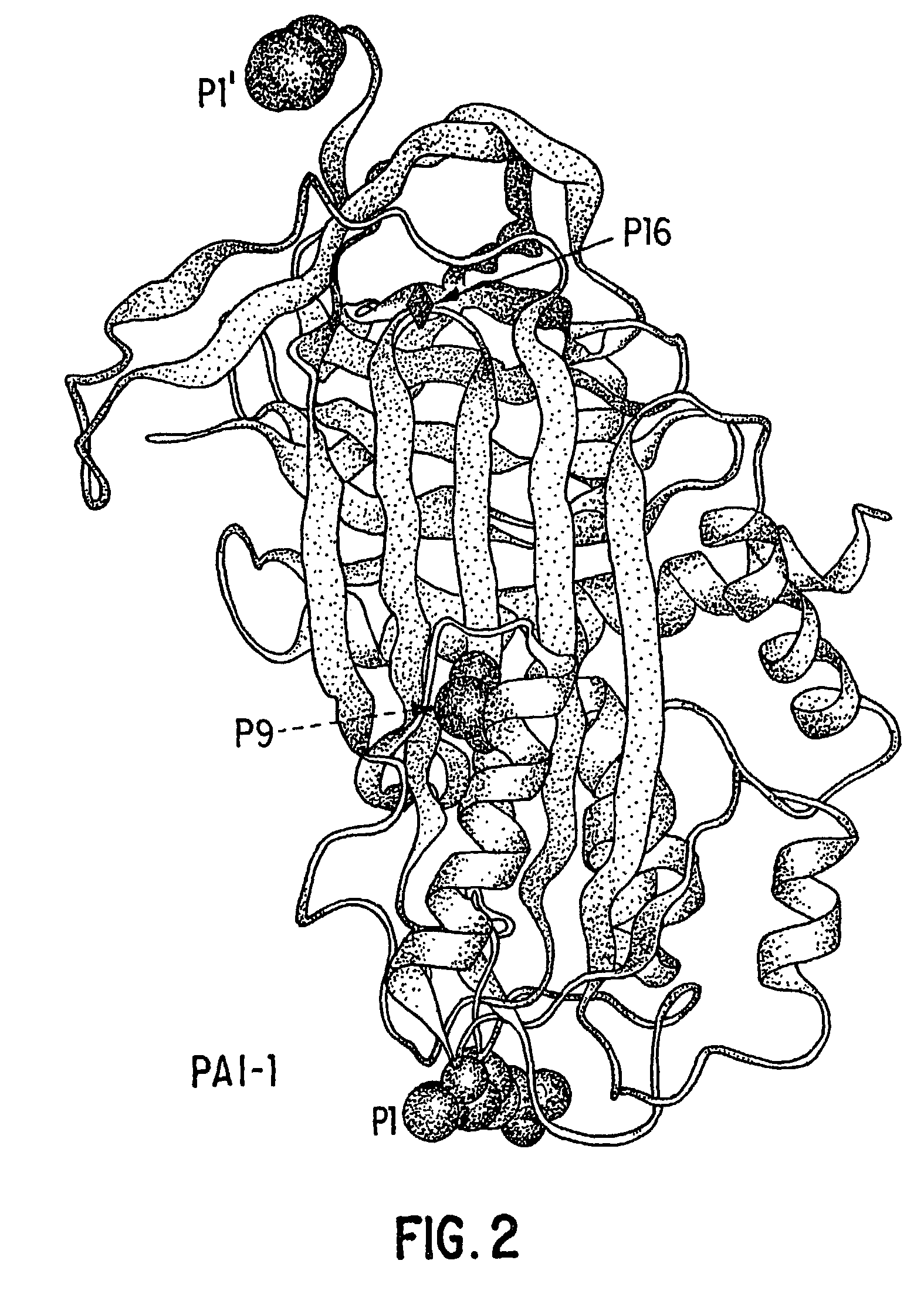 Mutant plasminogen activator-inhibitor type 1 (PAI-1) and uses thereof