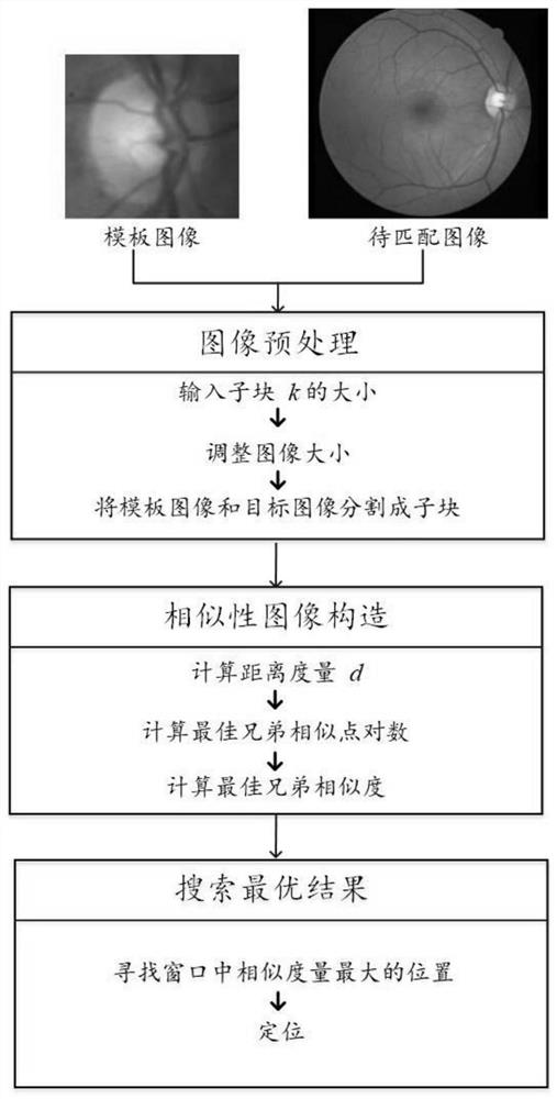 Optic disc positioning method and system in fundus image based on best sibling similarity