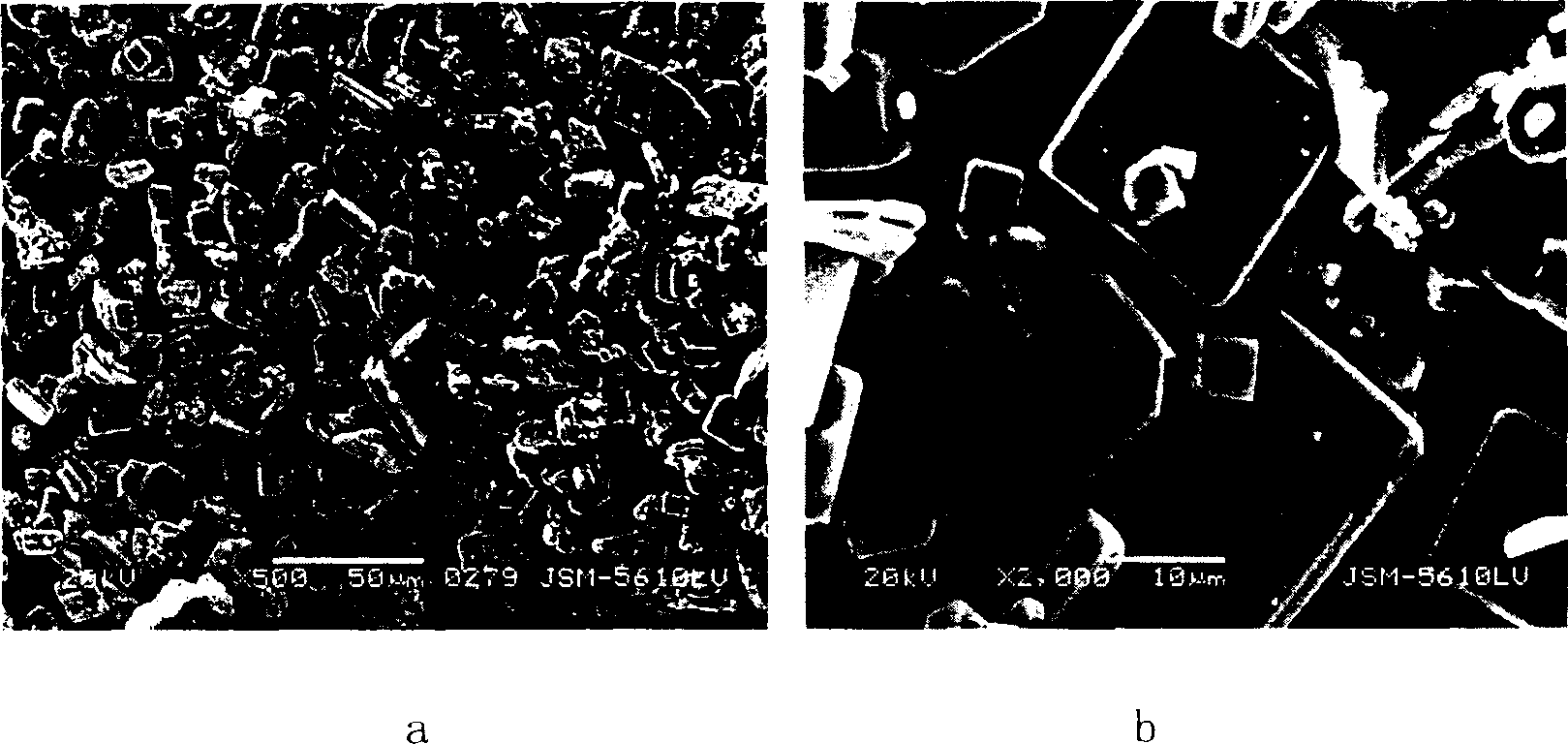 Textured columbate leadless piezoelectric materials and method for making same