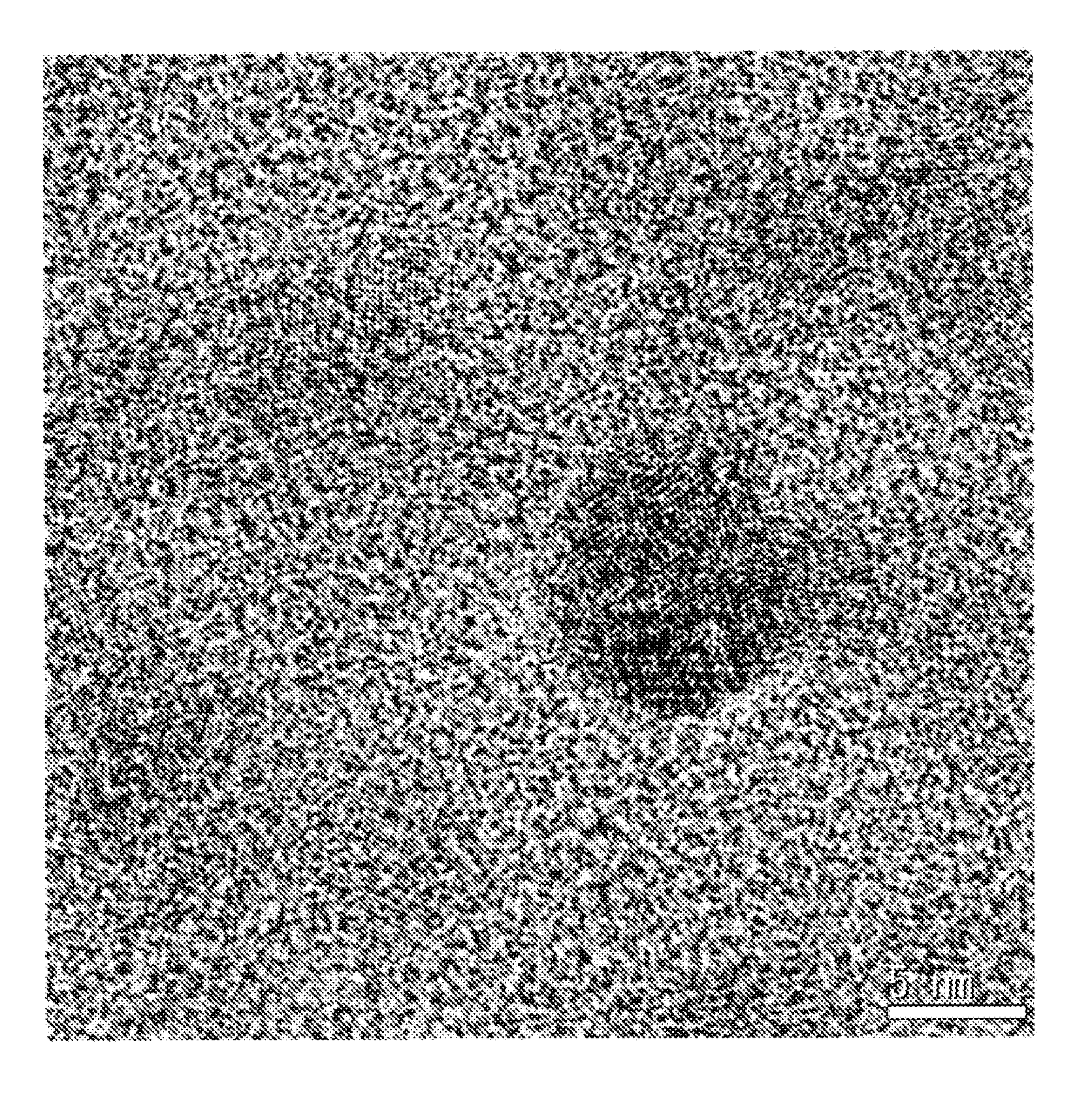 Crystallized glass substrate for information recording medium and method of producing the same