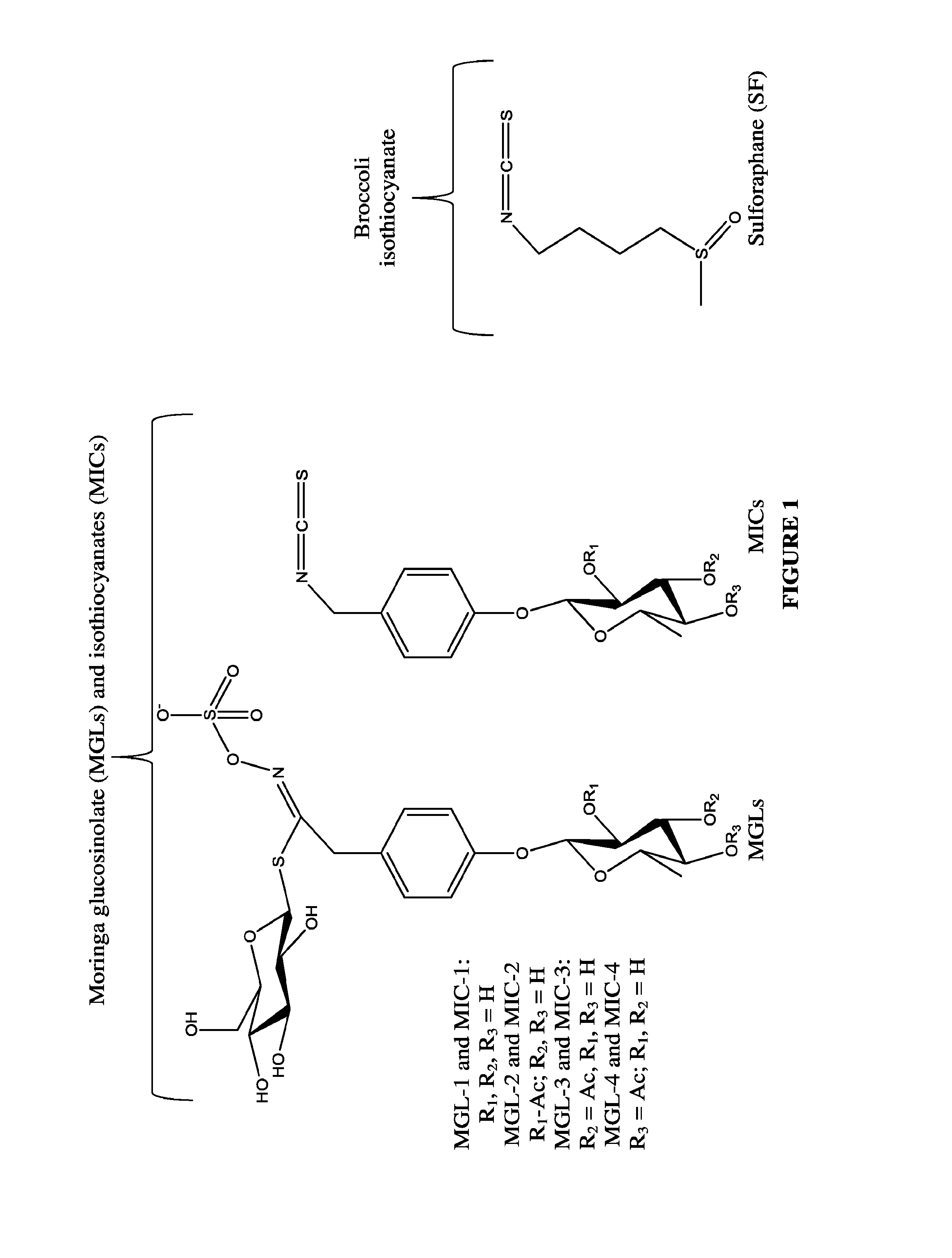 Extracts from plants of the moringaceae family and methods of making