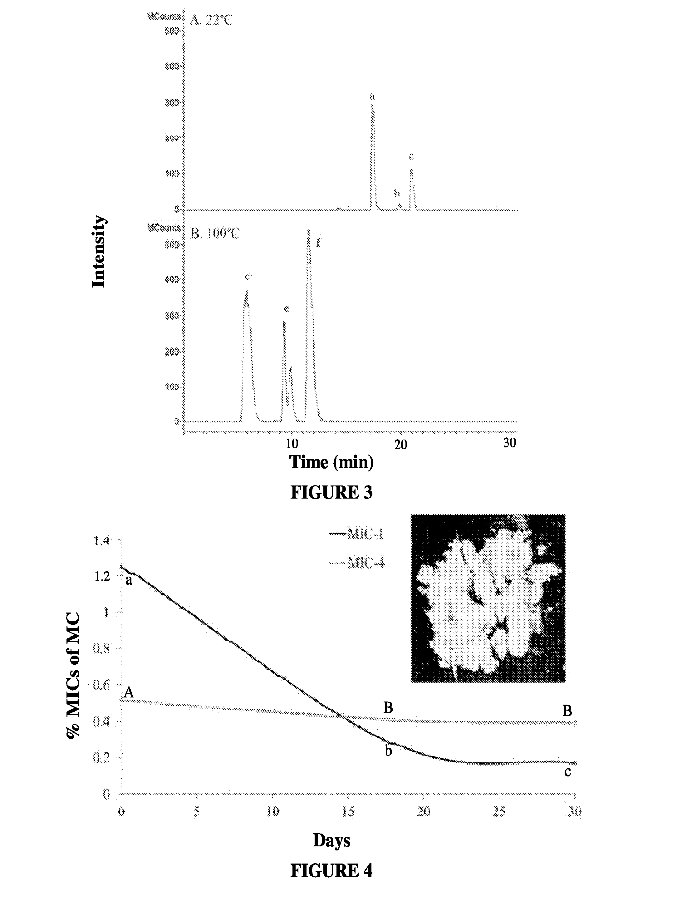 Extracts from plants of the moringaceae family and methods of making