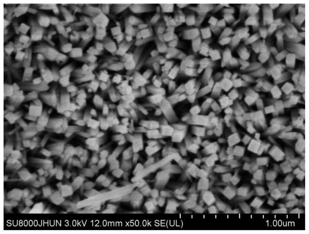 A nano-array of iron oxyhydroxide and its preparation method and application