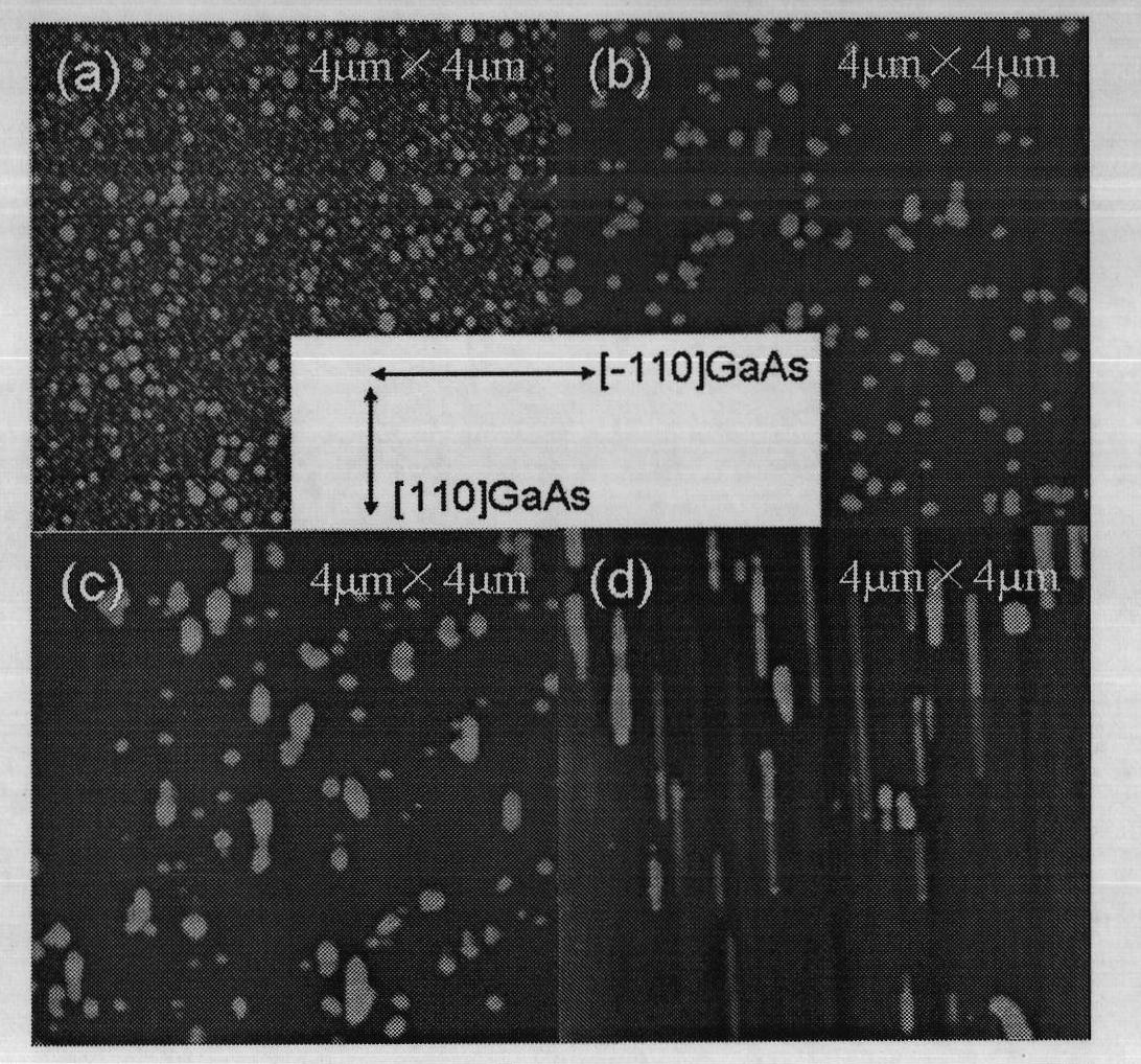 (In, Mn) As nano-wires and preparation method thereof