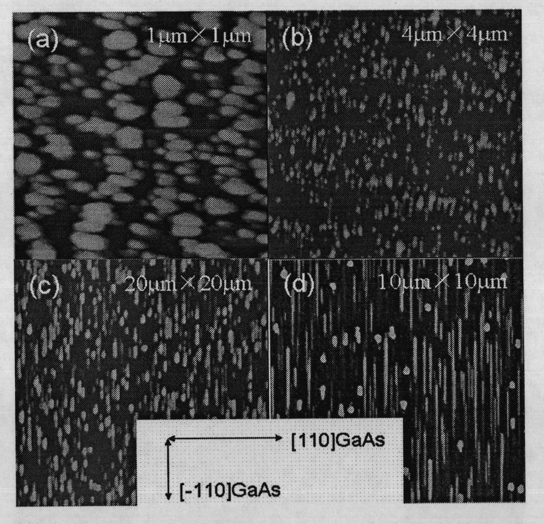 (In, Mn) As nano-wires and preparation method thereof