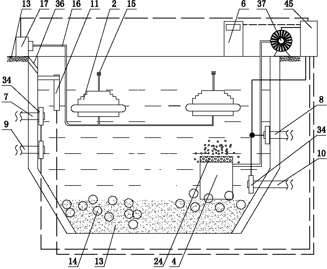 Cultivation and breeding method of improved-variety Chinese soft-shelled turtles