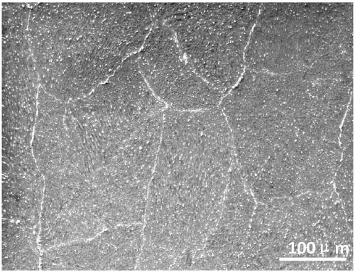 Method for preparing and controlling second phase homogenization in high-aluminum-content cast-rolled magnesium alloy plate