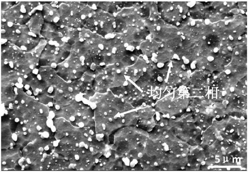 Method for preparing and controlling second phase homogenization in high-aluminum-content cast-rolled magnesium alloy plate