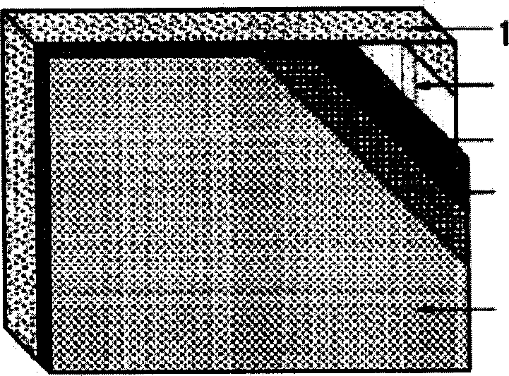 Composite lead-bearing type external heat insulating wall and its construction method