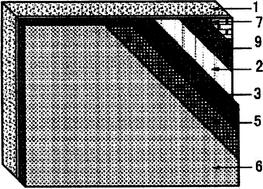 Composite lead-bearing type external heat insulating wall and its construction method