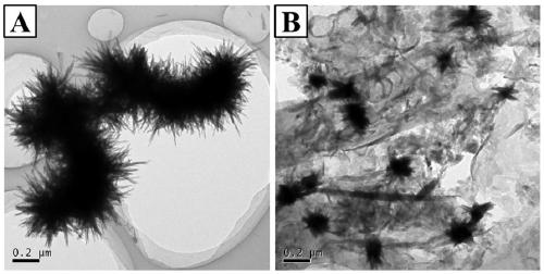 Plasma-type tungsten oxide modified graphite phase carbon nitride nanosheet composite photocatalyst and its preparation method and application