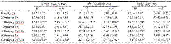 Method of using glutamine to inhibit Pb absorption of Brassica rapa subsp. Chinensis and increase ability to resist Pb contamination