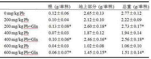 Method of using glutamine to inhibit Pb absorption of Brassica rapa subsp. Chinensis and increase ability to resist Pb contamination