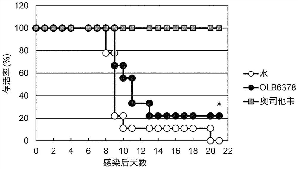 Anti-influenza virus agent for suppressing aggravation of influenza