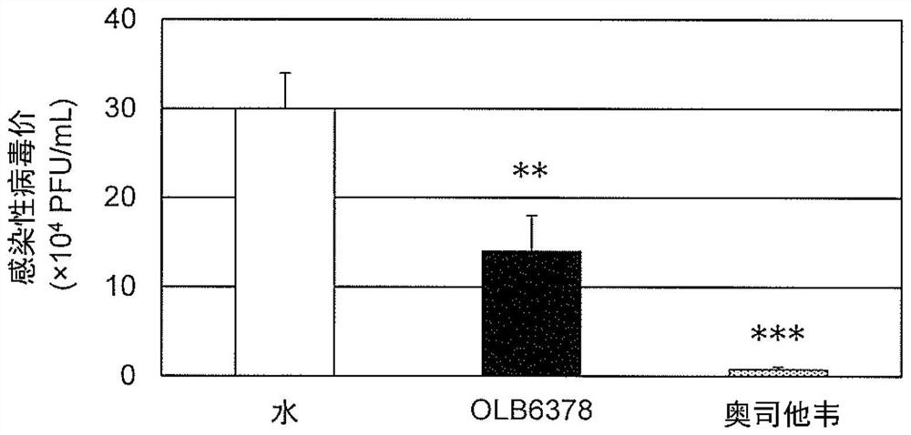 Anti-influenza virus agent for suppressing aggravation of influenza